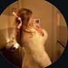 nadine_osf