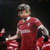 wendell.henrique37