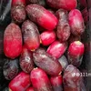 alawi0416