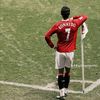 rafael.cardozo898