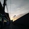 felix_12007