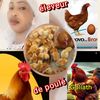 aidam647eleveur