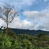 terindah099