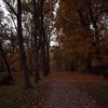 paisiswatching021