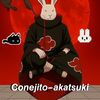 conejito.akatsuki