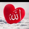 user7735618175279