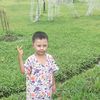 chit76425