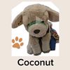 coconut7469