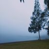 olivee886
