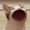 nguoisihoaao