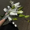 ptd.thanhxuan03