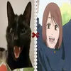 infinihan