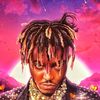 alphawrld24