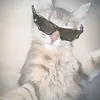 alex.maple5