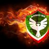 taylan8773