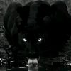 iko_aze2