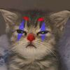 naufalpovkucing