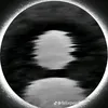 phocodon4