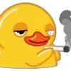 like.if.youre.not436