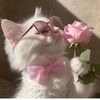 fahmida.akhter937