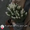sabeha.m