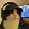 Pet.funnydogs68