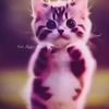 david._5o33