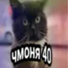 чмоня40