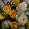 amna25210