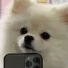 0._._.14
