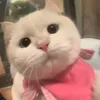 ghét toán nhất tg