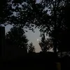 daisy___410
