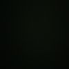 gaga_12338