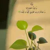 alfaner7