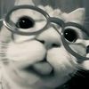 random_best5