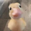 _.nguoidepnhatthegian_