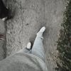 marius.rasmussen65