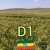 user7097336019739