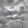 maimunah_131