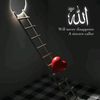 royam456