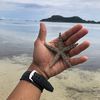 kurnia.sandi543