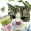 putriiitok