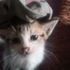zaza_axy