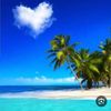 user9508740775172