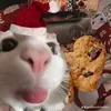 kemiutuine1