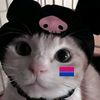 katty_cat29