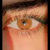 22tota_