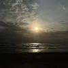 lakrica_chorni