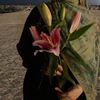xilq_65
