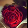 user8675374021292